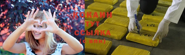 spice Покров