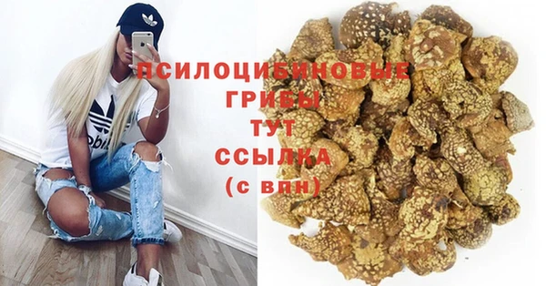 ECSTASY Ветлуга