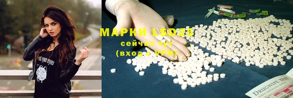 spice Покров