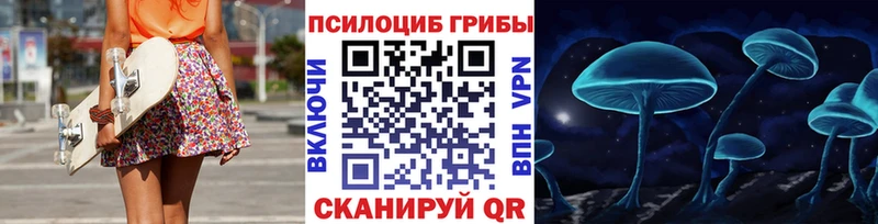 как найти наркотики  Урень  Псилоцибиновые грибы мицелий 